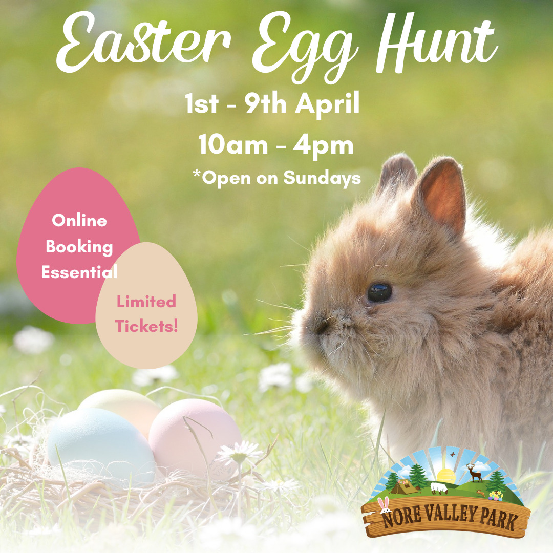 Easter Egg Hunt Instagram Post
